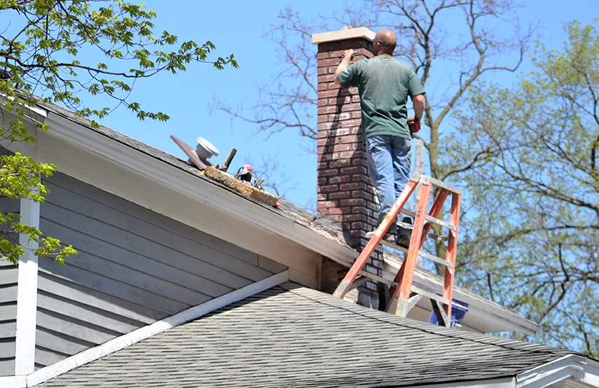 Chimney & Fireplace Inspections Services in Columbine, CO